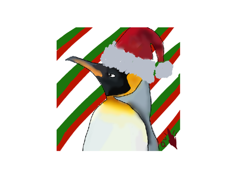 Penguin pfp (Happy Holidays!)