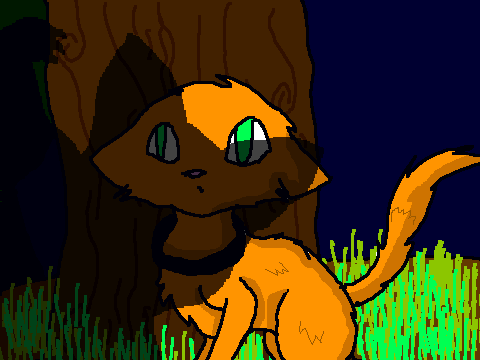 Cat Coloring Contest ~kattkidd edition