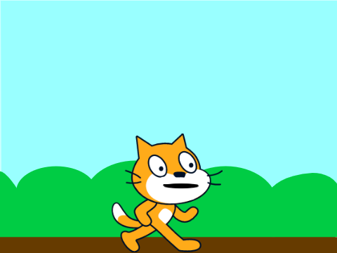Scratch Cat