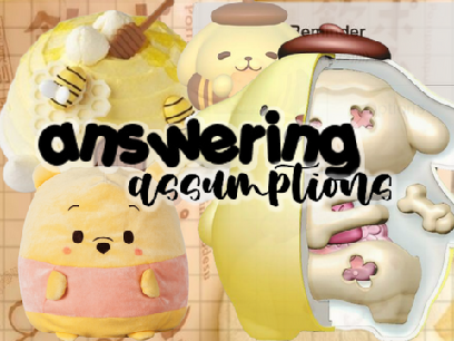 Answering YOUR assumptions 