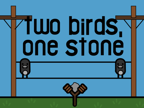 two birds,one stone 