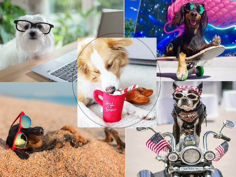 Dog Collage