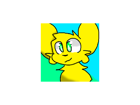 First attempt