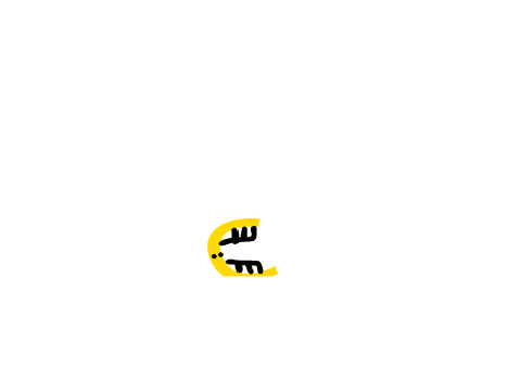 See