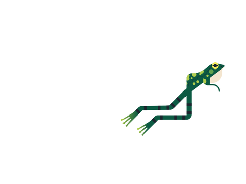 frog vs fly 1