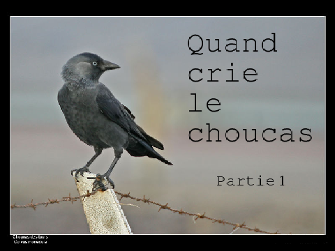 Quand crie le choucas - Partie 1