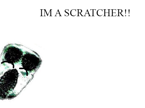 IM FINALLY A SCRATCHER!!