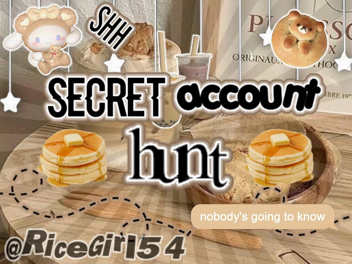 ʚɞ secret account hunt