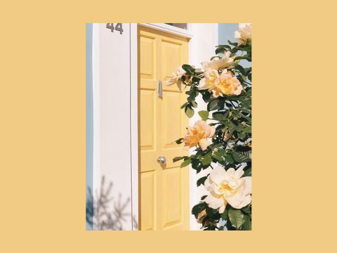 ୨⎯ 006 ⎯୧  ❀ hiatus timee ❀