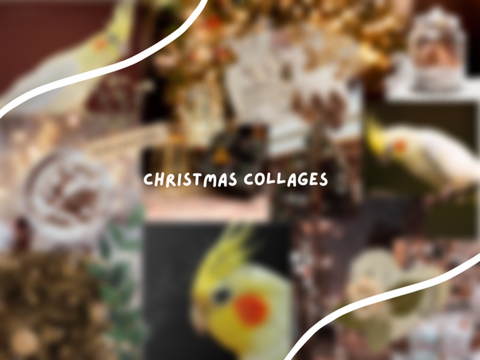 christmas / winter bird collages !