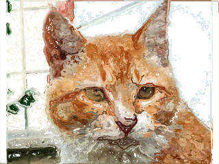 image sketcher