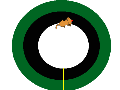 The Cat Races