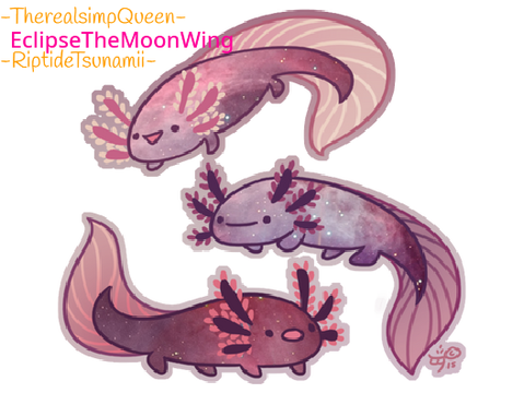Sign if you love axolotl's <3  remix