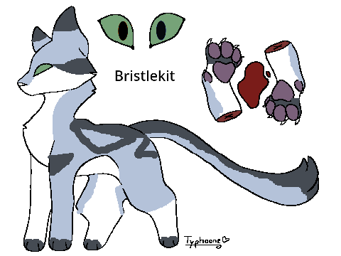 {S} Litter | OPEN