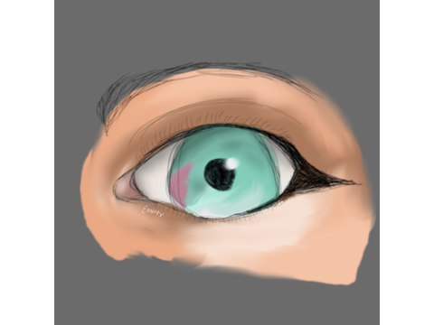 shading practice