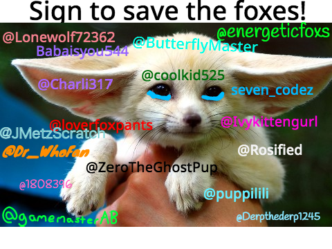 STOP HUNTING FOXES remix remix remix remix remix 7's remix... remix remix remix remix remix r… remix