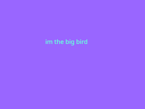 im the big bird