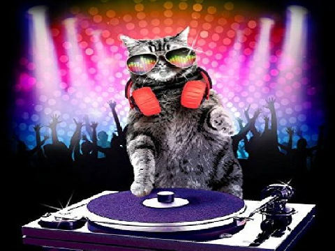 DJ Kitty in the house
