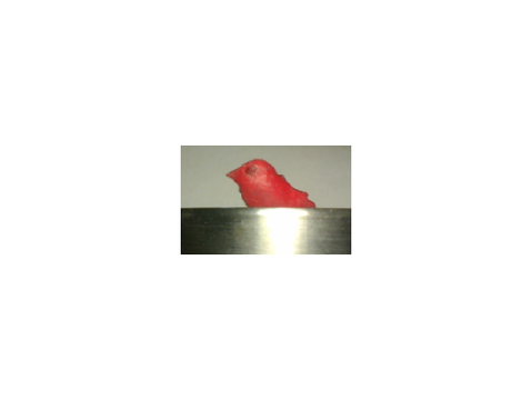a wax bird