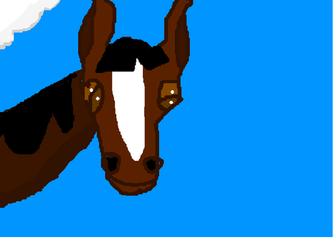 Horse pfp for 077230