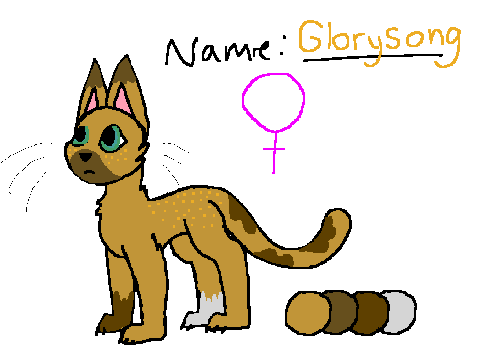 What I would look like if I were a cat