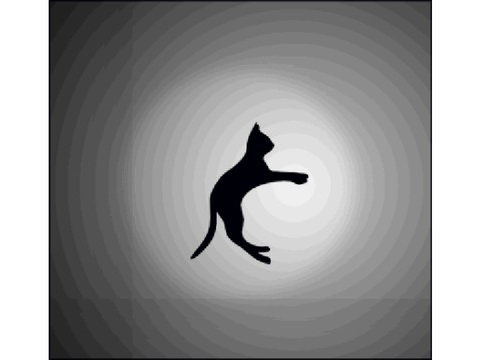spinning cat illusion