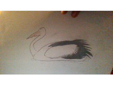 Animal Art Contest -Still Open- remix