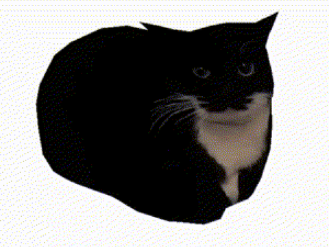 Maxwell The Spinning Cat