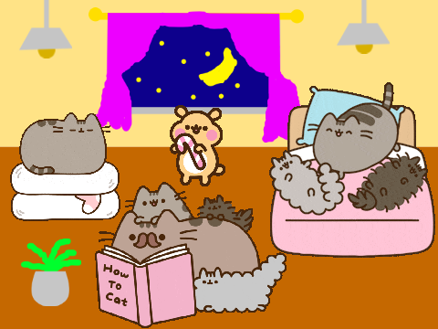 Pusheen Sleepover Party