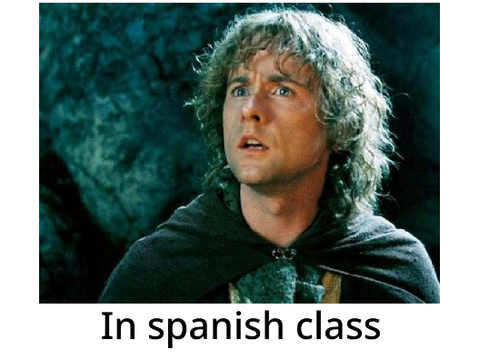 LOTR Memes