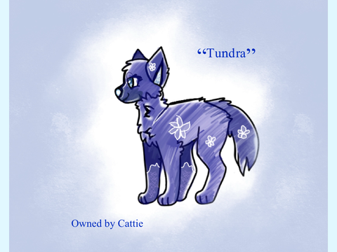 ᴛᴜɴᴅʀᴀ || my sona