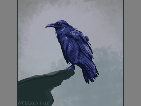 raven