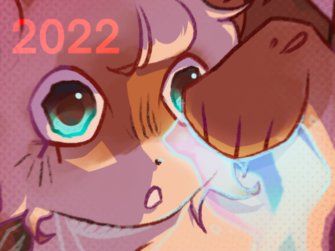 2022 redraw