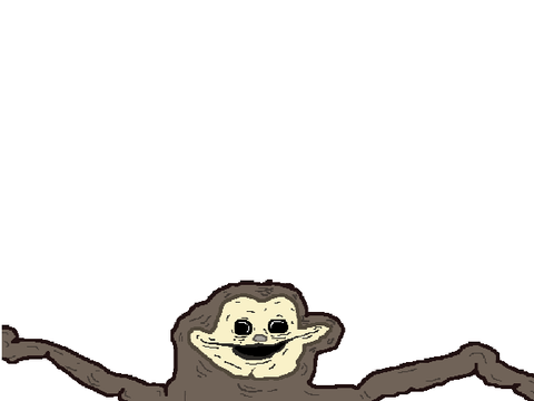monkey