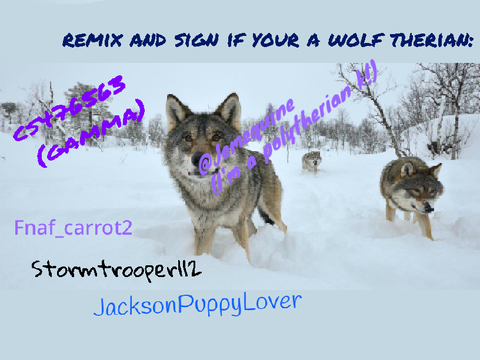 remix and sign if your a wolf therian!!!  remix remix remix