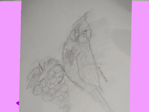 Grapetiel entry