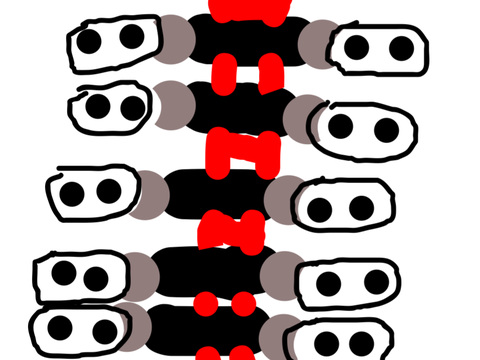 X2 Roller Coaster