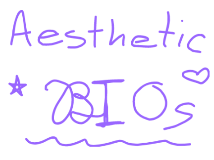 ⚘༉ 6 Aesthetic + Preppy: BIOs ⚘༉ II  Down through Instructions ♡ʚɞ♡ 