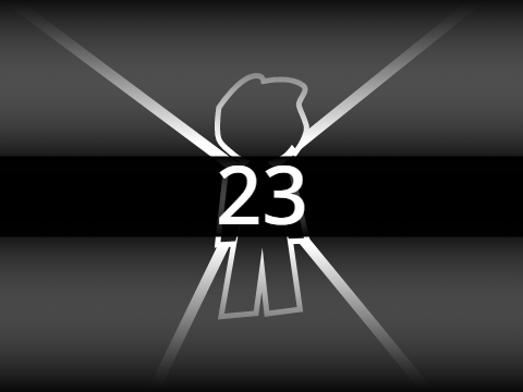 23