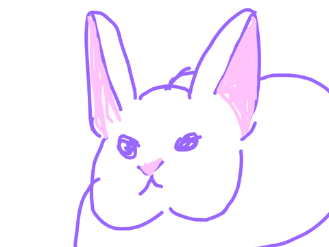 うちのうさぎが亡くなった