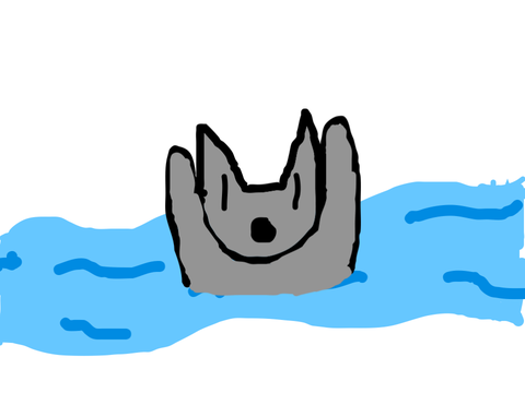 Greystripe in a river