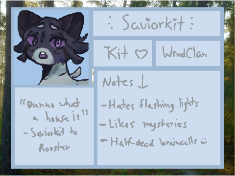 saviorkit's yearbook
