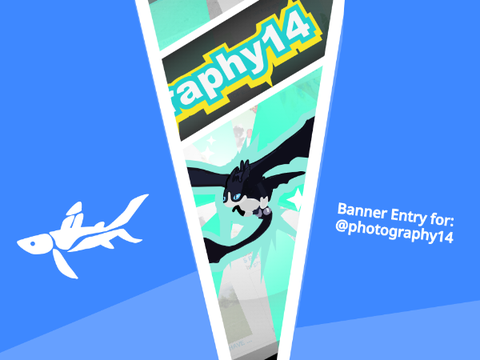 Second Banner Entry for Photography14