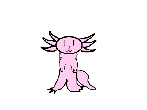 Animation Axolotl