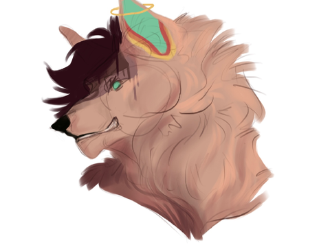 taking requests (closedish)