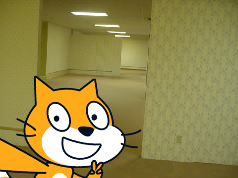 scratch cat in the backrooms remix