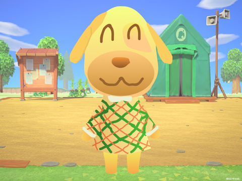 Chat with Goldie