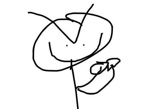 no