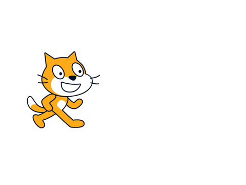 ラッシュを繰り出す猫