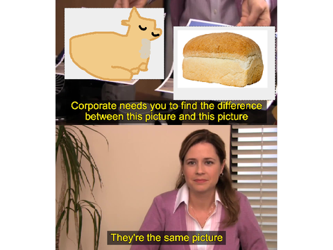 Cat loaf or bread loaf? 